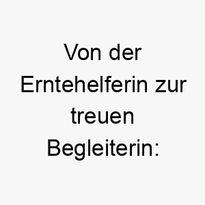 von der erntehelferin zur treuen begleiterin theresa als hundename 11707