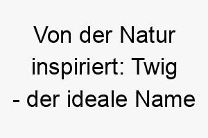 von der natur inspiriert twig der ideale name fuer einen kleinen oder zierlichen hund 26461