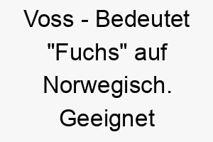 voss bedeutet fuchs auf norwegisch geeignet fuer einen schlauen oder rothaarigen hund 26905