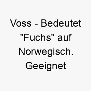 voss bedeutet fuchs auf norwegisch geeignet fuer einen schlauen oder rothaarigen hund 26905