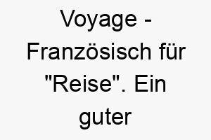 voyage franzoesisch fuer reise ein guter name fuer einen reiselustigen abenteuerlichen hund 27216