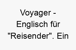 voyager englisch fuer reisender ein passender name fuer einen abenteuerlustigen wanderlustigen hund 27229