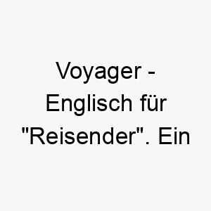 voyager englisch fuer reisender ein passender name fuer einen abenteuerlustigen wanderlustigen hund 27229