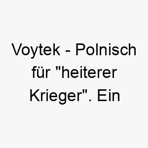 voytek polnisch fuer heiterer krieger ein mutiger name fuer einen froehlichen tapferen hund 27243