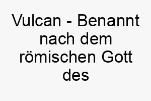 vulcan benannt nach dem roemischen gott des feuers ein passender name fuer einen energischen lebhaften hund 27184