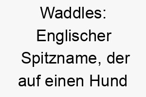 waddles englischer spitzname der auf einen hund hinweist der gerne wackelt oder schaukelt insbesondere beim gehen 27400