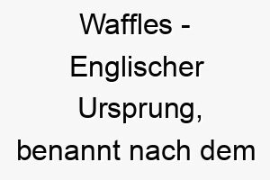 waffles englischer ursprung benannt nach dem beliebten fruehstuecksgericht bedeutung als hundename 2 11651