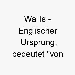 wallis englischer ursprung bedeutet von wales 11443