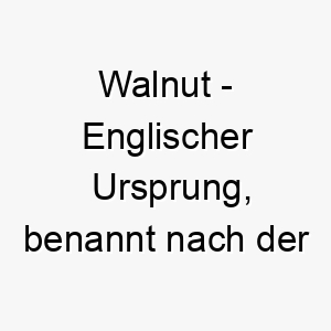 walnut englischer ursprung benannt nach der walnuss bedeutung als hundename 11593