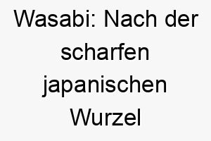 wasabi nach der scharfen japanischen wurzel benannt koennte dies einen hund mit einer wuerzigen persoenlichkeit bezeichnen 27407