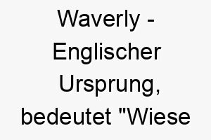 waverly englischer ursprung bedeutet wiese der weidenbaeume 11479