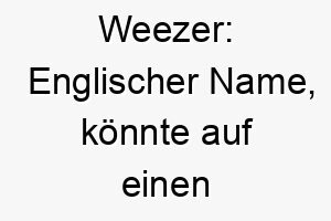 weezer englischer name koennte auf einen kleinen hund hinweisen oder auf einen der gerne spielt und herumtollt 27444