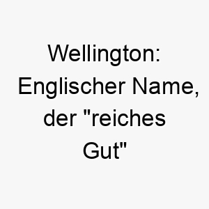 wellington englischer name der reiches gut bedeutet 27410