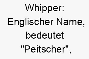 whipper englischer name bedeutet peitscher koennte zu einem schnellen oder aktiven hund passen 27453