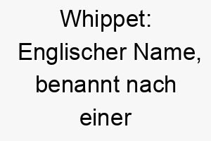 whippet englischer name benannt nach einer hunderasse die fuer ihre geschwindigkeit bekannt ist koennte also zu einem schnellen hund passen 27457