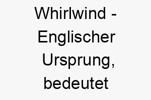 whirlwind englischer ursprung bedeutet wirbelwind perfekt fuer einen energiegeladenen hund 11595