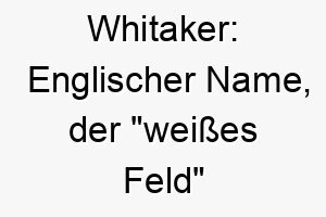 whitaker englischer name der weisses feld bedeutet 27398