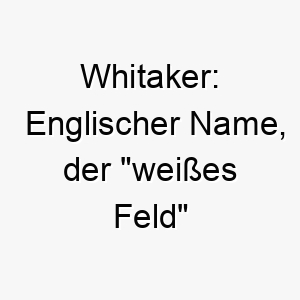 whitaker englischer name der weisses feld bedeutet 27398