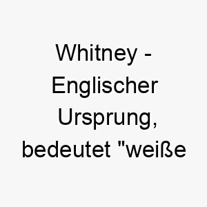 whitney englischer ursprung bedeutet weisse insel bedeutung als hundename 11653