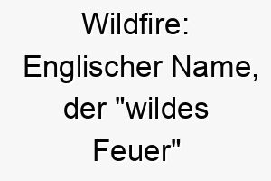 wildfire englischer name der wildes feuer bedeutet passend fuer einen hund mit viel energie 27409