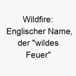 wildfire englischer name der wildes feuer bedeutet passend fuer einen hund mit viel energie 27409