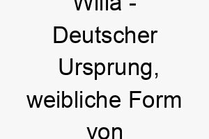 willa deutscher ursprung weibliche form von wilhelm bedeutet entschlossener schutz 11516