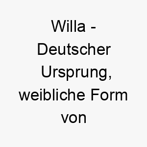 willa deutscher ursprung weibliche form von wilhelm bedeutet entschlossener schutz 11516