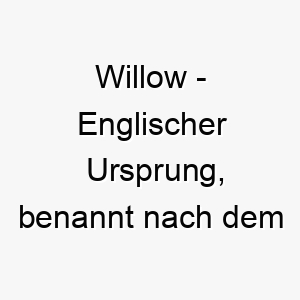 willow englischer ursprung benannt nach dem weidenbaum 2 11524