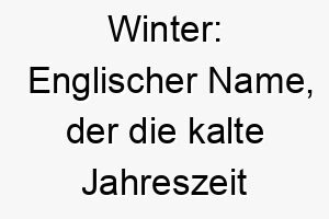 winter englischer name der die kalte jahreszeit darstellt und passend fuer einen hund mit weissem oder hellen fell sein koennte 27403