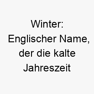 winter englischer name der die kalte jahreszeit darstellt und passend fuer einen hund mit weissem oder hellen fell sein koennte 27403