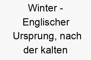 winter englischer ursprung nach der kalten jahreszeit benannt 11469