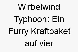 wirbelwind typhoon ein furry kraftpaket auf vier pfoten 26472