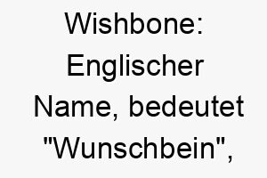 wishbone englischer name bedeutet wunschbein koennte zu einem gluecklichen optimistischen hund passen 27504