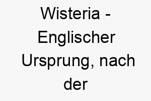 wisteria englischer ursprung nach der bluehenden pflanze wisteria benannt 11438