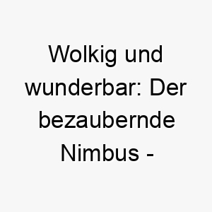 wolkig und wunderbar der bezaubernde nimbus ein himmlischer name fuer flauschige fellnasen 23104