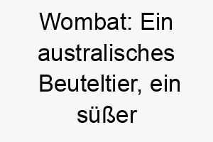 wombat ein australisches beuteltier ein suesser name fuer einen robusten kleinen hund 27408