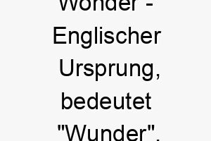 wonder englischer ursprung bedeutet wunder passend fuer einen erstaunlichen hund bedeutung als hundename 11592