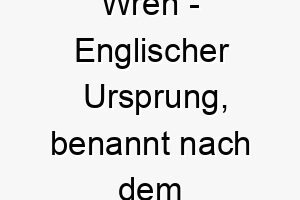 wren englischer ursprung benannt nach dem kleinen vogel zaunkoenig 2 11547