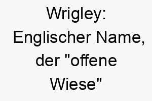 wrigley englischer name der offene wiese bedeutet 27423