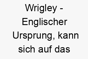 wrigley englischer ursprung kann sich auf das wrigley field baseballstadion beziehen 11470