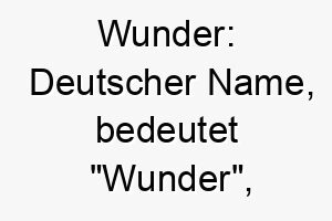 wunder deutscher name bedeutet wunder koennte zu einem hund passen der etwas besonderes ist oder eine besondere geschichte hat 27614