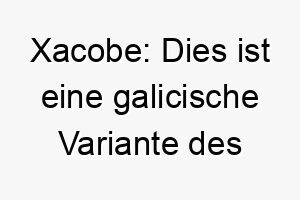 xacobe dies ist eine galicische variante des namens jacob was der der hinten ist oder der juengste bedeutet es koennte fuer den juengsten oder neuesten zugang zu ihrer rudel passen 27692