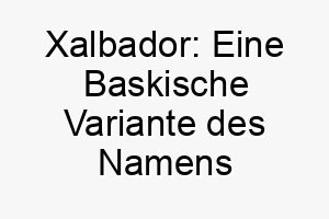 xalbador eine baskische variante des namens salvador was retter bedeutet ideal fuer einen rettungshund oder einen hund der in einer kritischen zeit im leben seines besitzers kam 27709