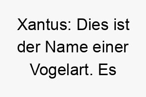 xantus dies ist der name einer vogelart es koennte fuer einen kleinen lebhaften hund passen 27701