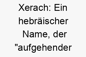 xerach ein hebraeischer name der aufgehender morgenstern bedeutet ideal fuer einen hund der froehlich und voller energie ist 27774