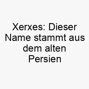 xerxes dieser name stammt aus dem alten persien und wurde fuer koenige verwendet es koennte einen sehr stolzen und koeniglichen hund symbolisieren 27686