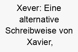 xever eine alternative schreibweise von xavier die neues haus bedeutet ideal fuer einen hund der in ein neues zuhause gekommen ist 27712