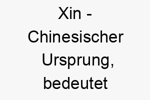 xin chinesischer ursprung bedeutet schoenheit 10678