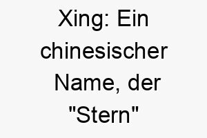 xing ein chinesischer name der stern bedeutet dies koennte einen besonders auffaelligen oder bemerkenswerten hund bezeichnen 27689