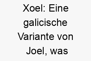 xoel eine galicische variante von joel was jehova ist gott bedeutet dies koennte fuer einen besonders verehrten hund passen 27775